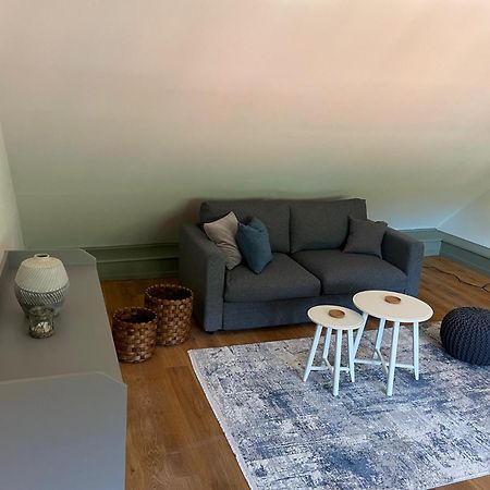 Palmbraeu Altstadt Appartments 하이델베르크 외부 사진
