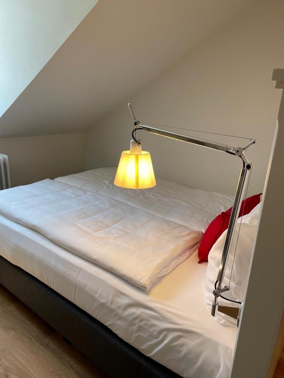 Palmbraeu Altstadt Appartments 하이델베르크 외부 사진